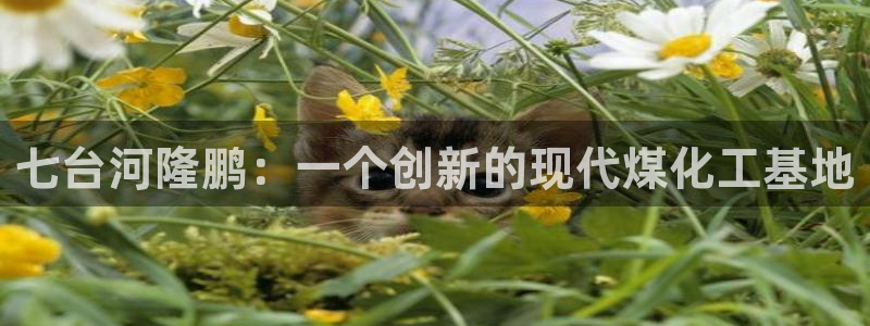 球盟会进不去球员吗：七台河隆鹏：一个创新的现代煤化工基地