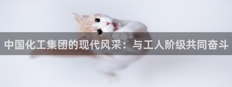 球盟会登录平台：中国化工集团的现代风采：与工人阶级共同奋斗