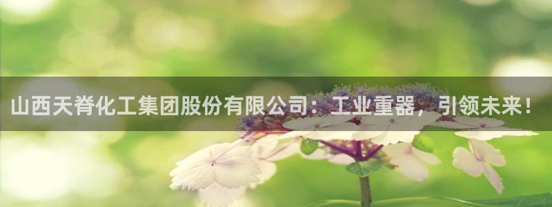 球盟会电子：山西天脊化工集团股份有限公司：工业重器，引领未来