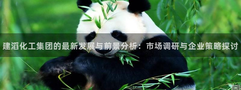 球盟会能提现吗