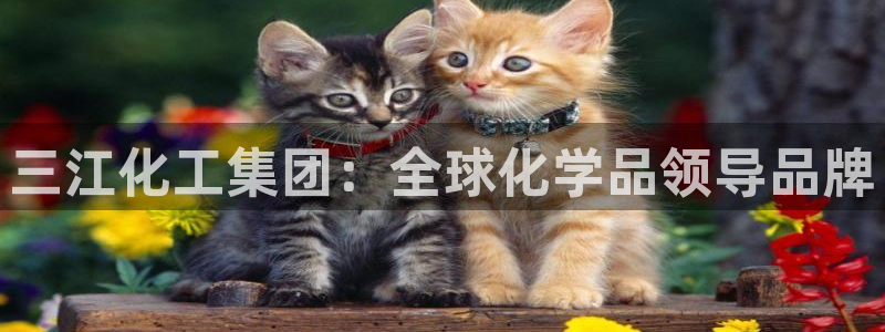 球盟会娱乐平台：三江化工集团：全球化学品领导品牌