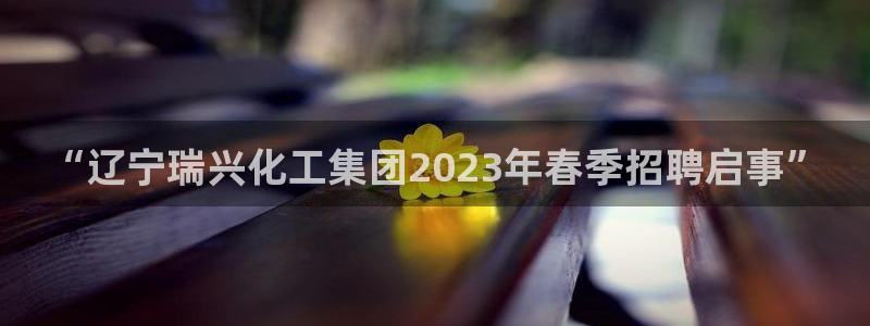 球盟会可以提现么