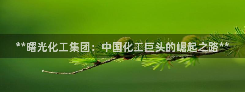 球盟会提款支付宝怎么样