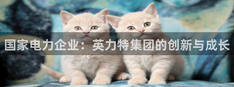 球盟会qmh网页版登录：国家电力企业：英力特集团的创新与成长