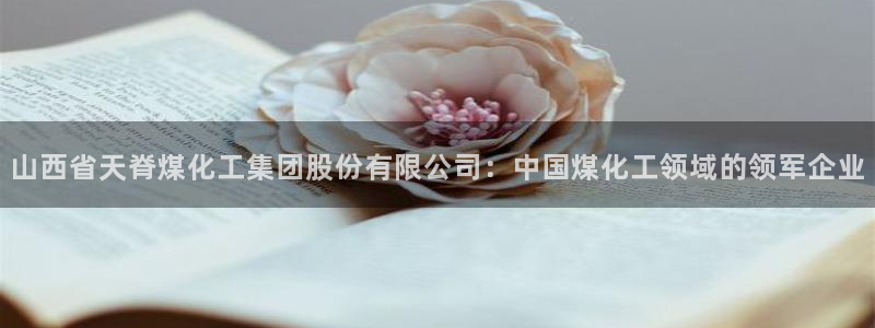 球盟会电子好下吗：山西省天脊煤化工集团股份有限公司：中国煤化