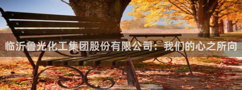 球盟会APP官网：临沂鲁光化工集团股份有限公司：我们的心之所