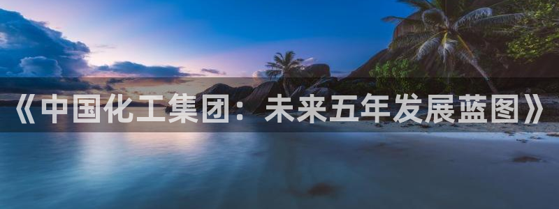 球盟会电子游戏平台：《中国化工集团：未来五年发展蓝图》