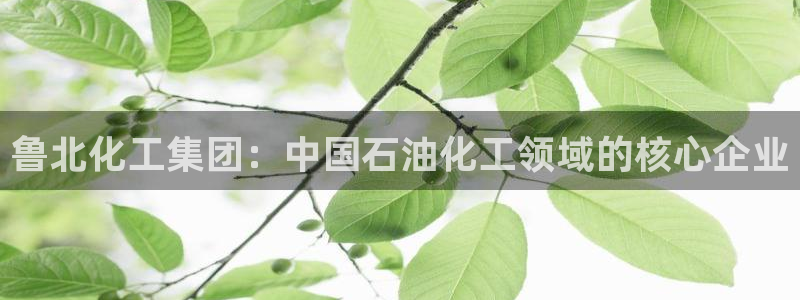 球盟会有没有黑单的球员：鲁北化工集团：中国石油化工领域的核心