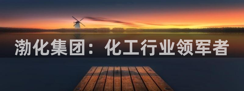 球盟会app最新地址在哪：渤化集团：化工行业领军者