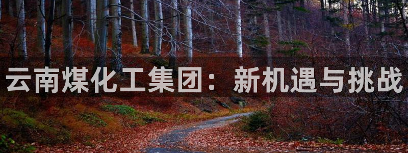 球盟会有没有黑单的球员