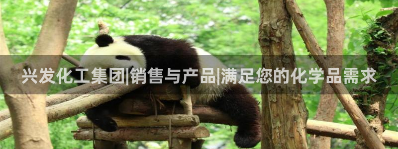 球盟会app最新地址下载安装