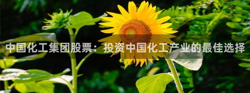 球盟会官方登录平台：中国化工集团股票：投资中国化工产业的最佳