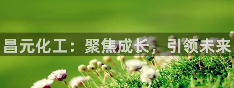 球盟会头号玩家：昌元化工：聚焦成长，引领未来