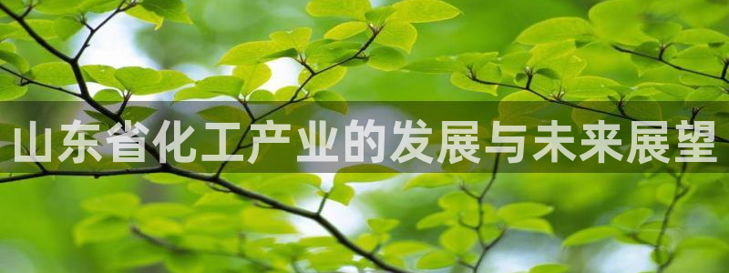 球盟会官方网站是什么：山东省化工产业的发展与未来展望