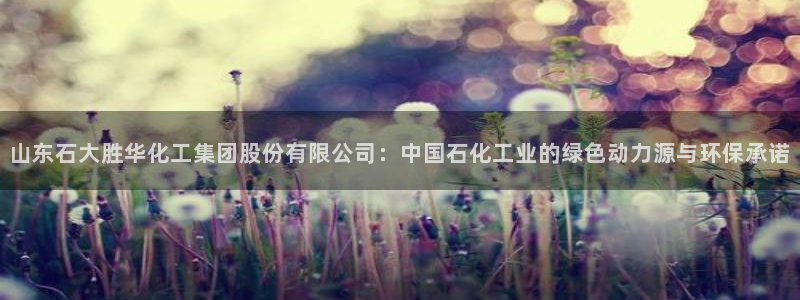球盟会官方网站入口：山东石大胜华化工集团股份有限公司：中国石