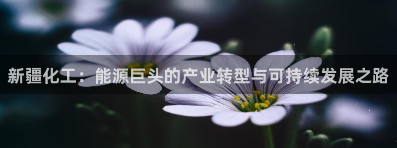 球盟会可以提现么是真的吗