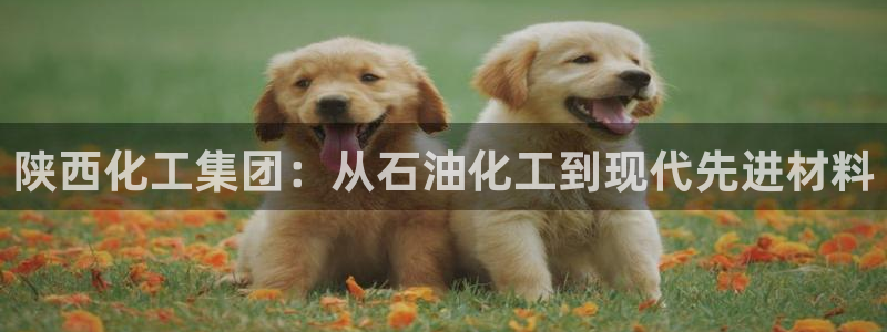 球盟会登录入口