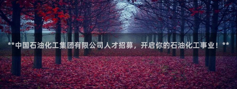 球盟会登录网址