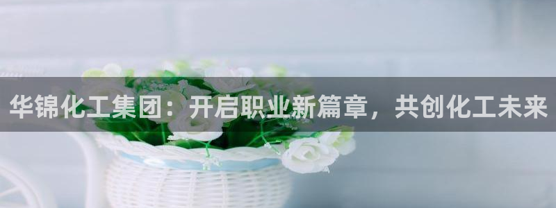 球盟会登录平台