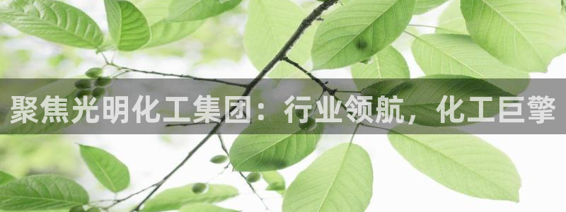 球盟会qmh登录地址