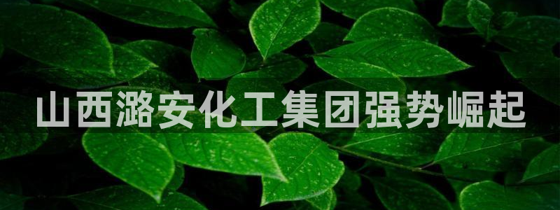 球盟会网址qm9 - 球盟会qmh网页版登录