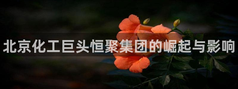 球盟会qmh网页版登录 - qm球盟会官方网站