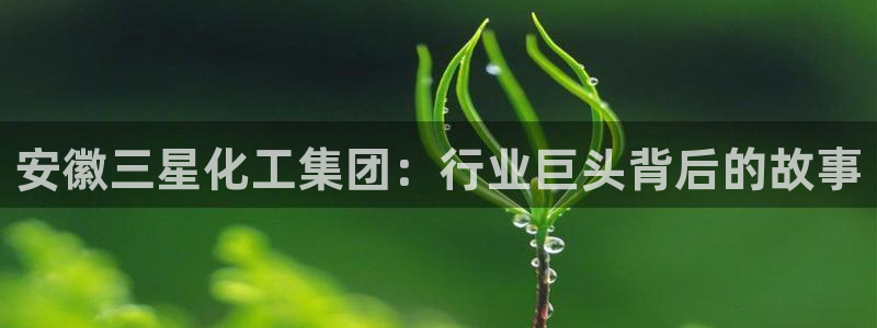 球盟会qmh登录地址