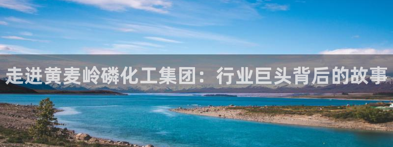 球盟会登录网址