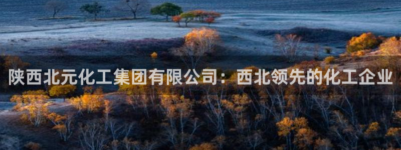 球盟会官方网站