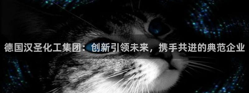 球盟会黑台子：德国汉圣化工集团：创新引领未来，携手共进的典范