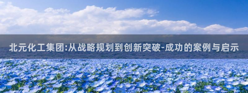 球盟会能退钱吗：北元化工集团:从战略规划到创新突破-成功的案
