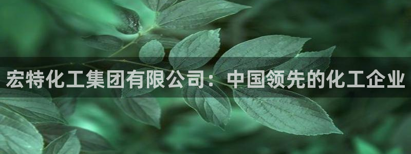 球盟会网页登录入口：宏特化工集团有限公司：中国领先的化工企业