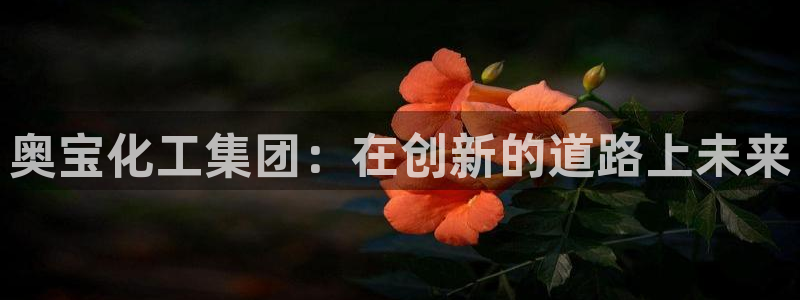 球盟会娱乐平台：奥宝化工集团：在创新的道路上未来