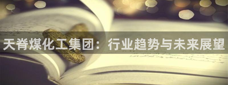 球盟会最新活动：天脊煤化工集团：行业趋势与未来展望