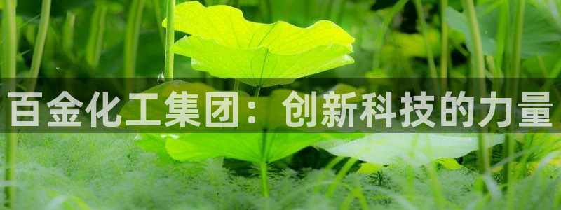 球盟会APP下载：百金化工集团：创新科技的力量