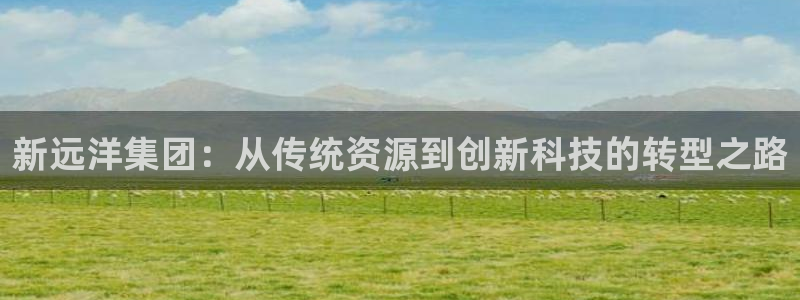 球盟会网页登录app下载地址：新远洋集团：从传统资源到创新科