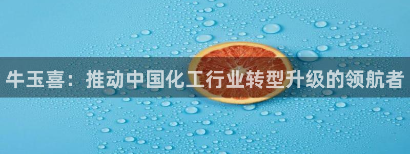 球盟会黑款吗：牛玉喜：推动中国化工行业转型升级的领航者