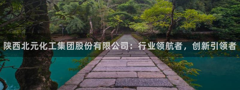 球盟会网页登录：陕西北元化工集团股份有限公司：行业领航者，创