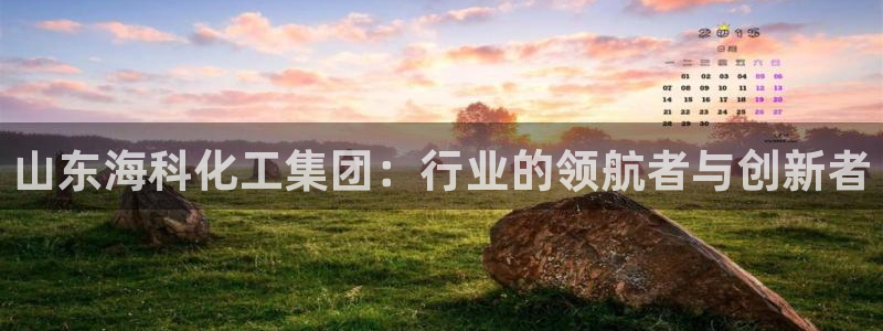 球盟会APP官网：山东海科化工集团：行业的领航者与创新者