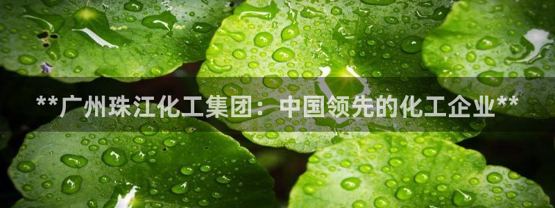 球盟会qmh网页版登录：**广州珠江化工集团：中国领先的化工