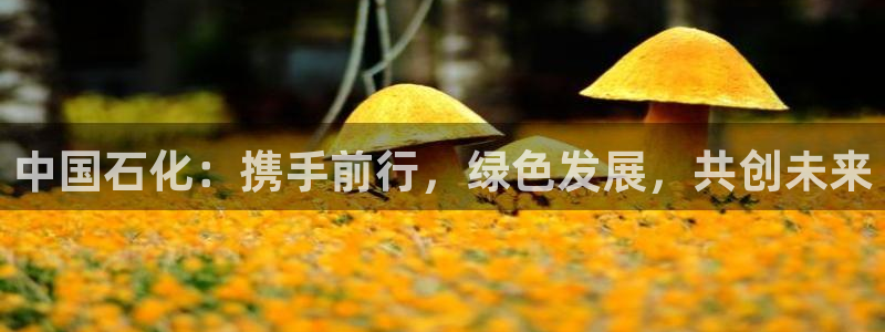球盟会在线登录：中国石化：携手前行，绿色发展，共创未来