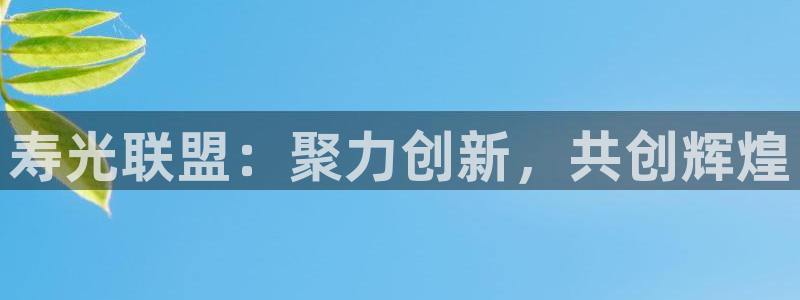 球盟会官方网入口：寿光联盟：聚力创新，共创辉煌