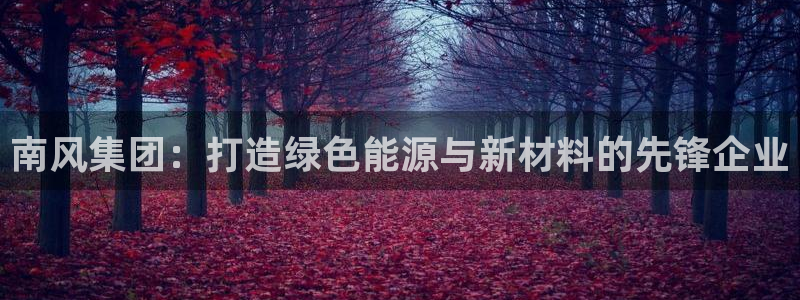 球盟会论坛：南风集团：打造绿色能源与新材料的先锋企业