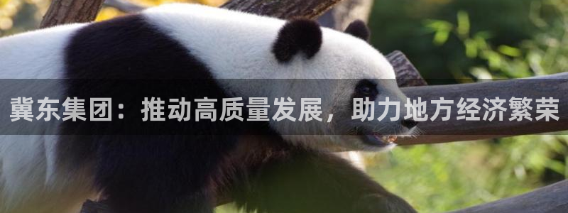 球盟会能退钱吗是真的吗：冀东集团：推动高