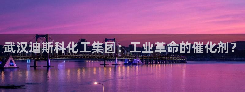 球盟会登陆：武汉迪斯科化工集团：工业革命的催化剂？