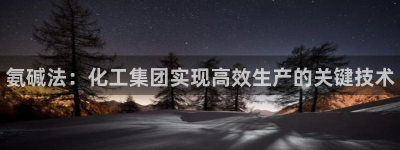 球盟会有限公司怎么样