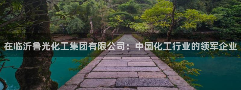 球盟会连接：在临沂鲁光化工集团有限公司：中国化工行业的领军企